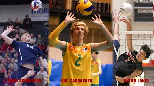 schroeder carracher lange