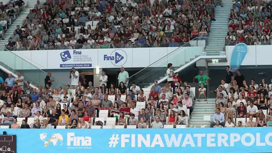 crowd at 2018 fina world league super final in budapest