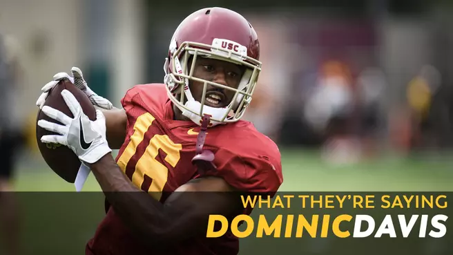 What They're Saying: Dominic Davis