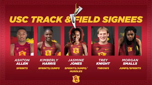 Signees Graphic