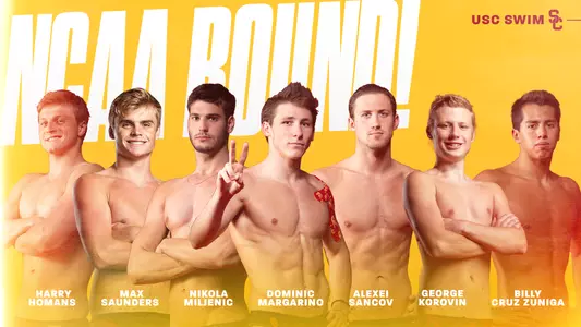 Men's NCAA Swim and dive Graphic