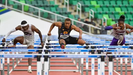 Tade Ojora in NCAA semis