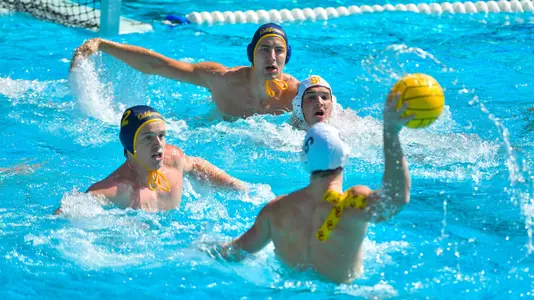 Chris Sturtevant and Tony Nardelli combine on offense at Cal