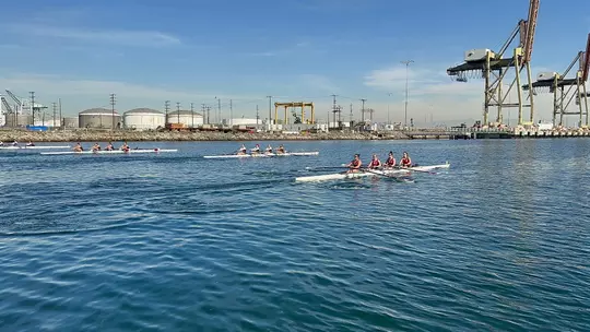 4s Stanford Dual