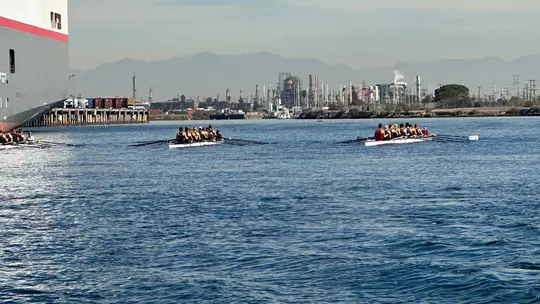 1V8+ Stanford Dual(Home)