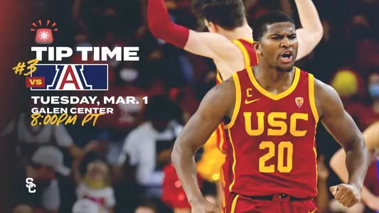 Arizona Tip Tim Graphic