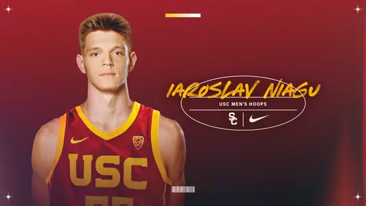 Iaroslav Niagu Graphic