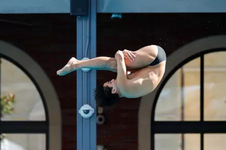 Robert Gref USC men's diving