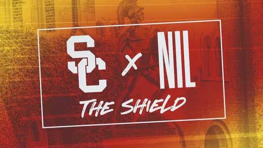 NIL - The Shield graphic