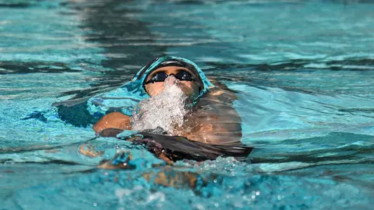 Swim and Dive