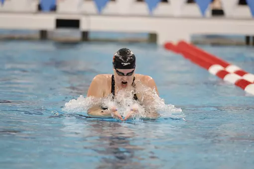 Dobler swimming breaststroke