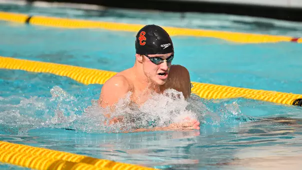 Men's swimming & diving