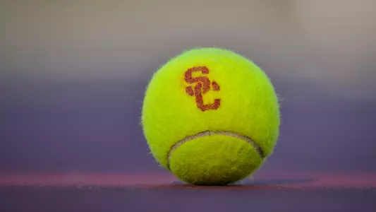 Tennis Ball