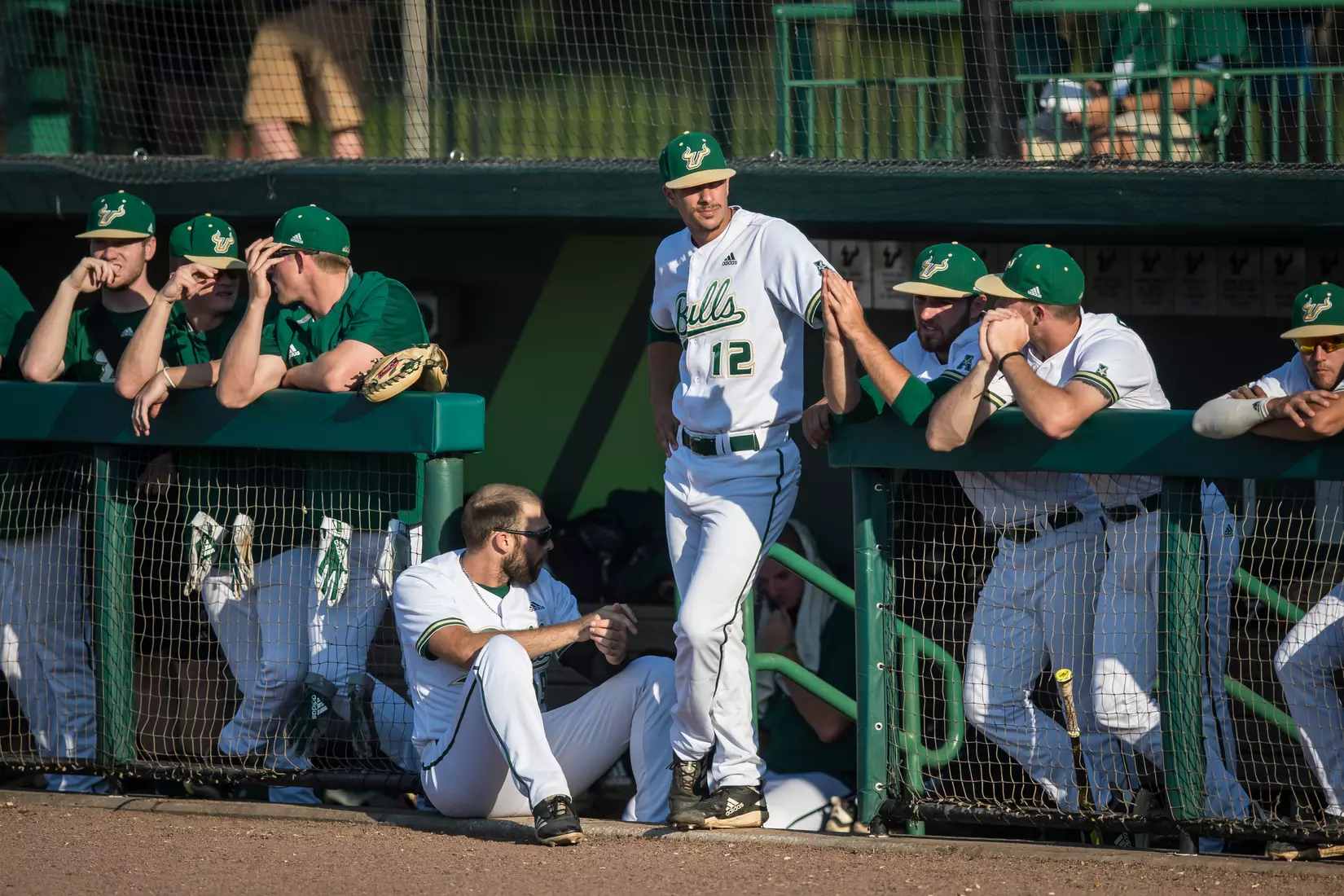 South Florida Bulls during a game against the Memphis Tigers on Sunday April 28, 2019 at the USF Softball Stadium in Tampa, Florida.