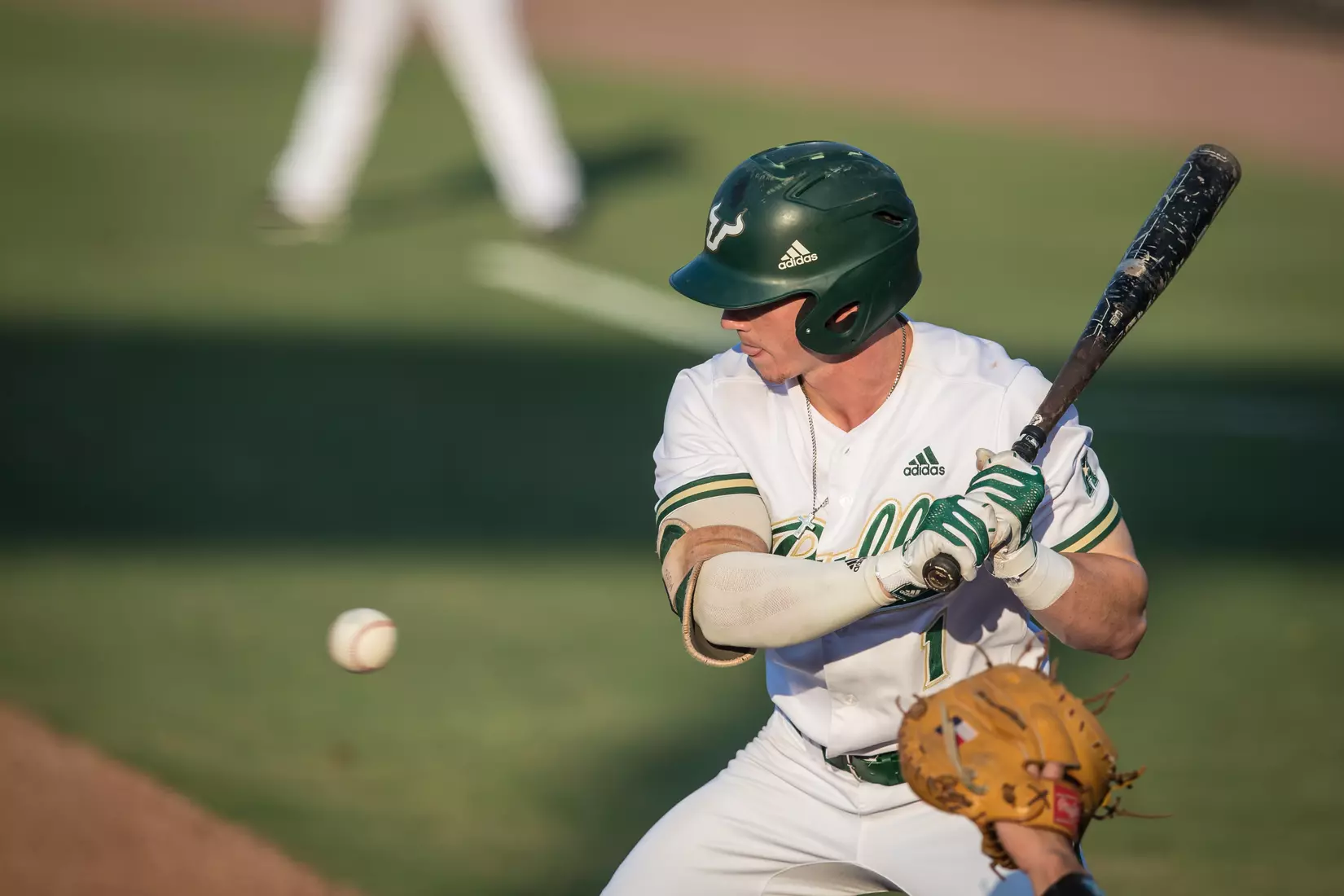 South Florida Bulls during a game against the Memphis Tigers on Sunday April 28, 2019 at the USF Softball Stadium in Tampa, Florida.