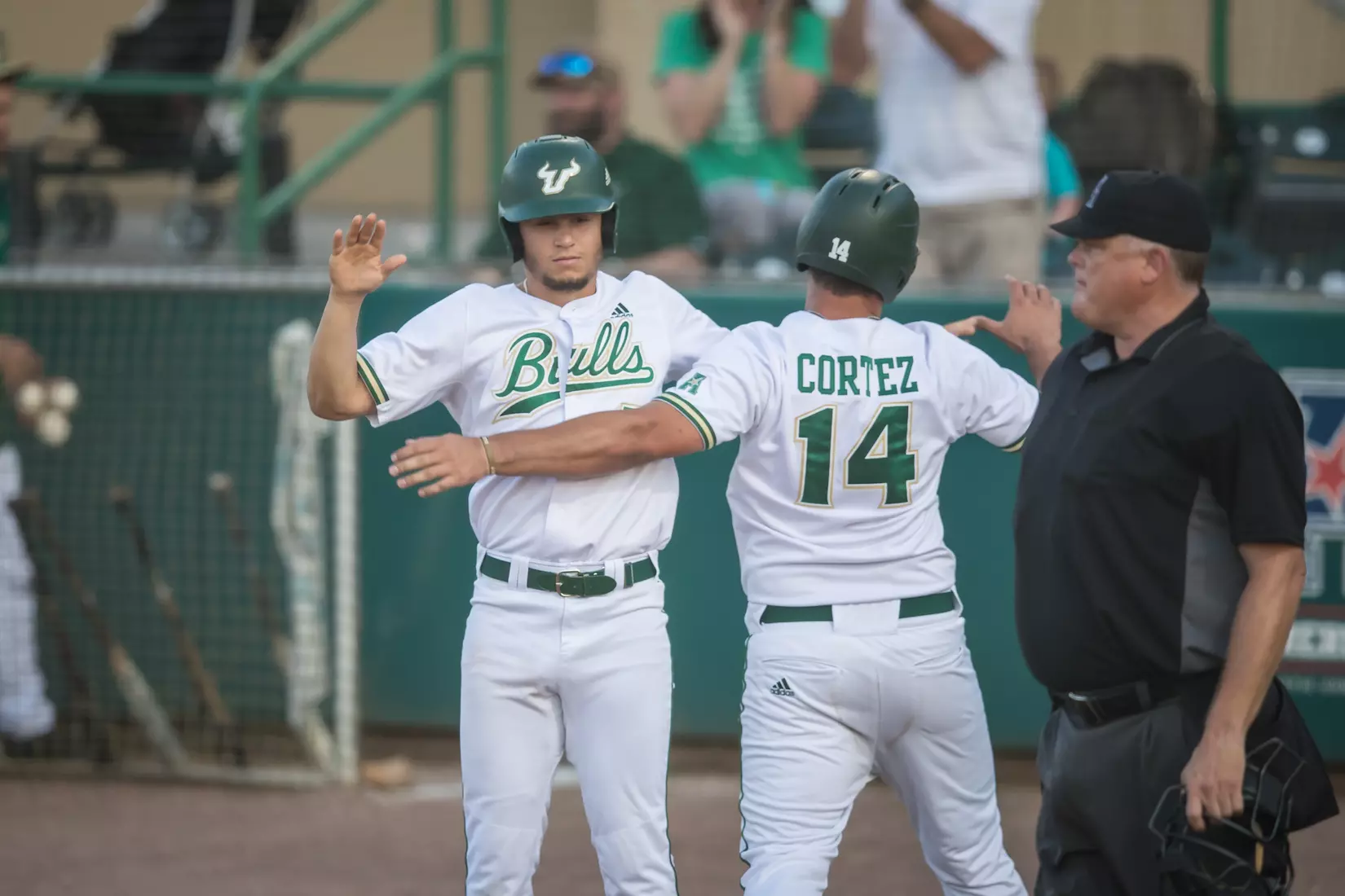 South Florida Bulls during a game against the Memphis Tigers on Sunday April 28, 2019 at the USF Softball Stadium in Tampa, Florida.
