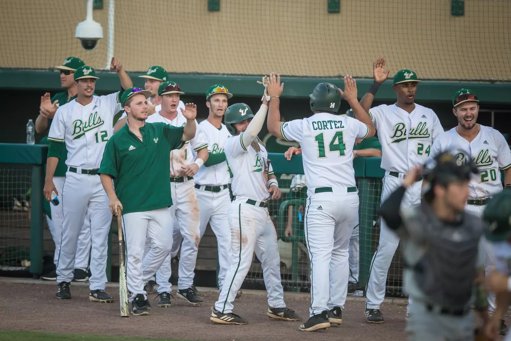 South Florida Bulls during a game against the Memphis Tigers on Sunday April 28, 2019 at the USF Softball Stadium in Tampa, Florida.