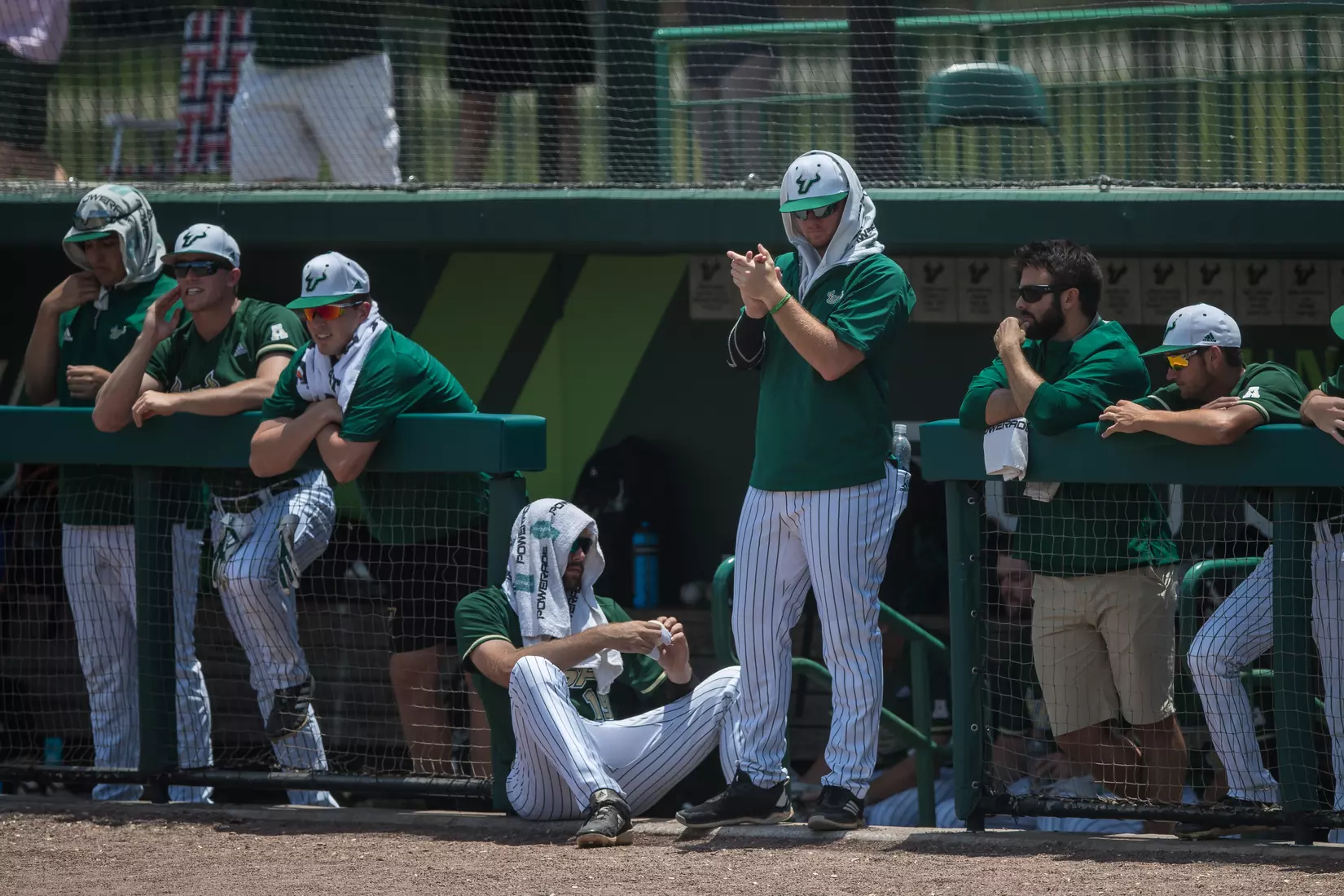South Florida Bulls during a game against the Wichita State Shockers on Saturday May 18, 2019 at the USF Softball Stadium in Tampa, Florida.