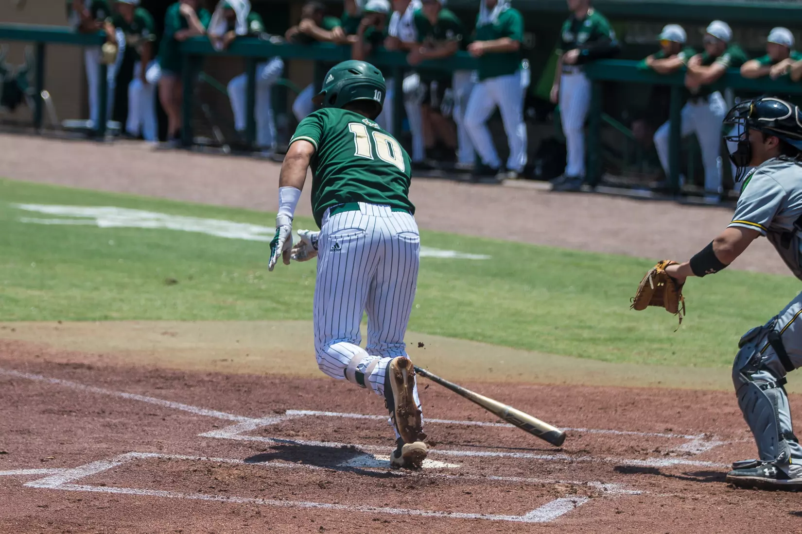 South Florida Bulls during a game against the Wichita State Shockers on Saturday May 18, 2019 at the USF Softball Stadium in Tampa, Florida.