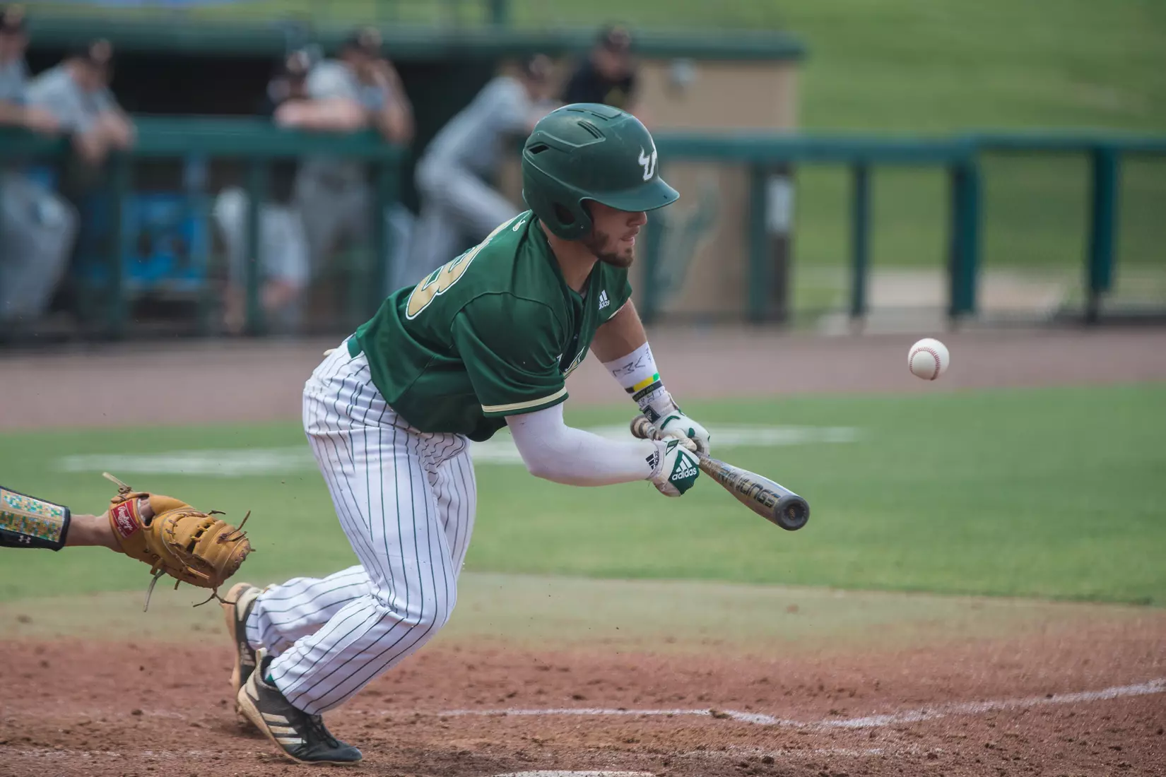 South Florida Bulls during a game against the Wichita State Shockers on Saturday May 18, 2019 at the USF Softball Stadium in Tampa, Florida.