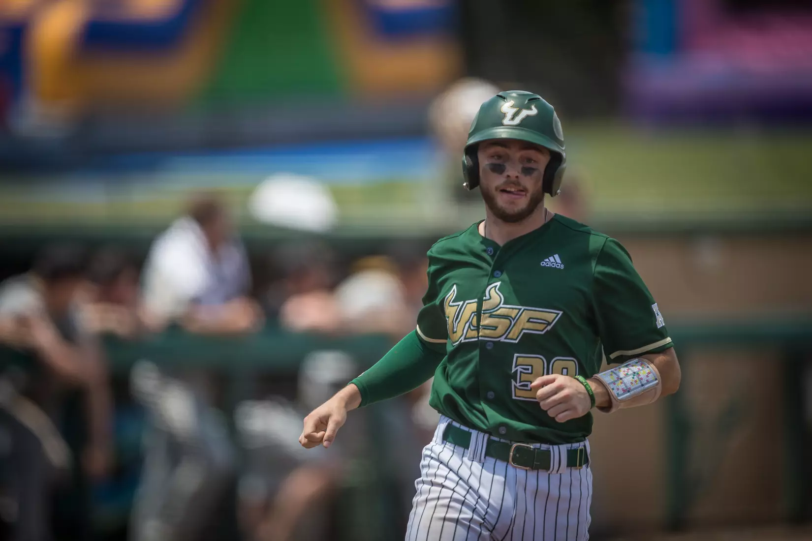 South Florida Bulls during a game against the Wichita State Shockers on Saturday May 18, 2019 at the USF Softball Stadium in Tampa, Florida.