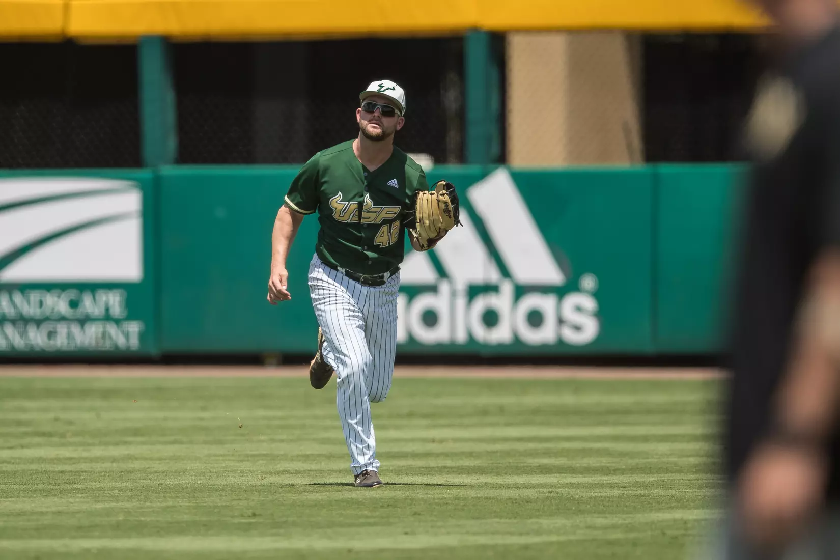South Florida Bulls during a game against the Wichita State Shockers on Saturday May 18, 2019 at the USF Softball Stadium in Tampa, Florida.