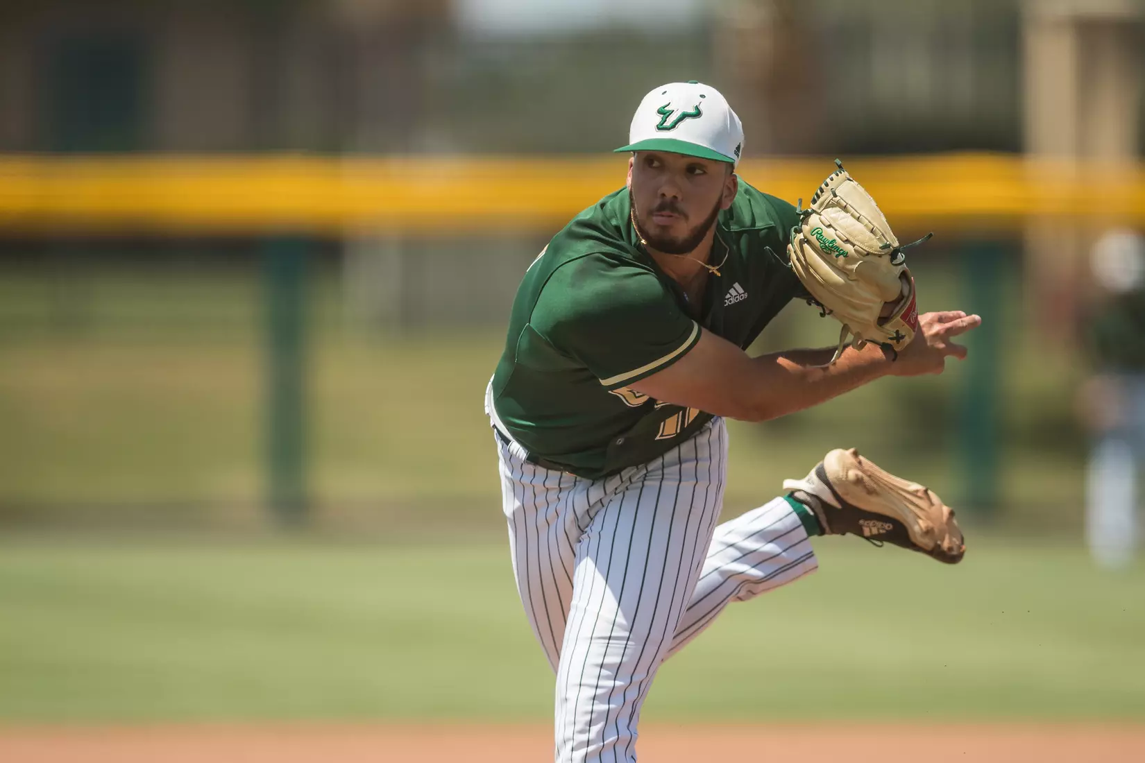 South Florida Bulls during a game against the Wichita State Shockers on Saturday May 18, 2019 at the USF Softball Stadium in Tampa, Florida.