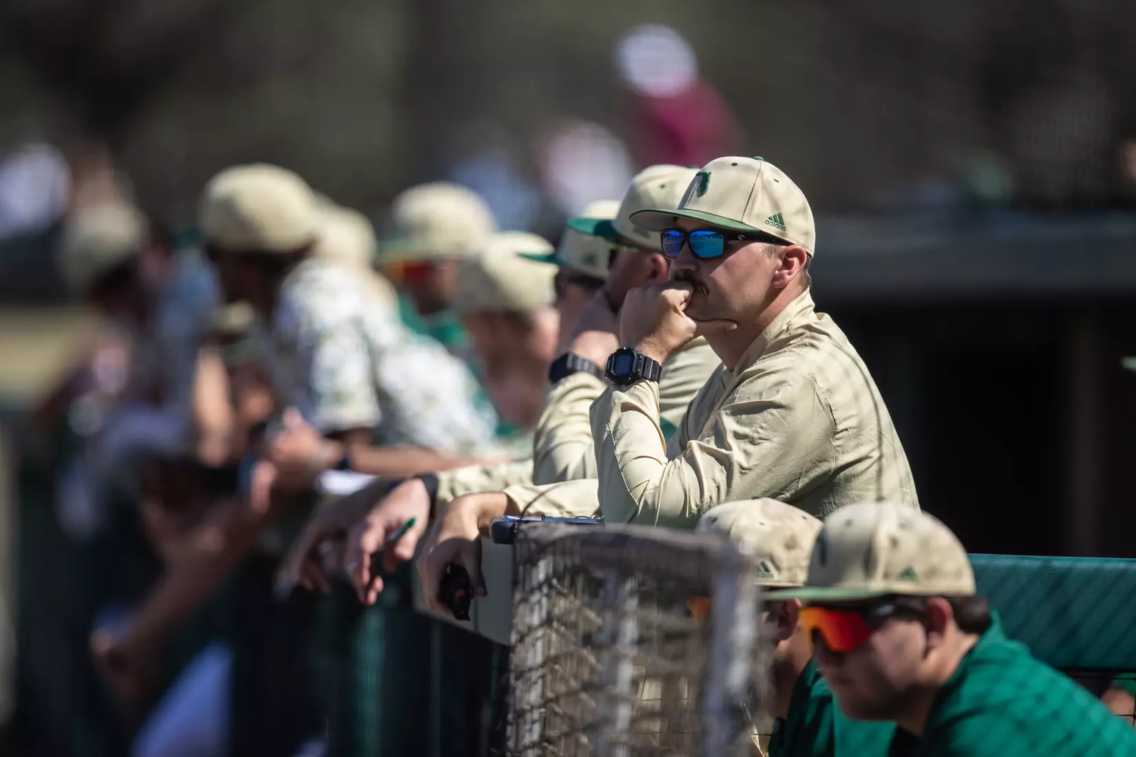 South Florida Bulls during a baseball game against the University of Louisville Cardinals at the USF Baseball Stadium on February 20, 2022. (Mary Holt/South Florida Athletics)