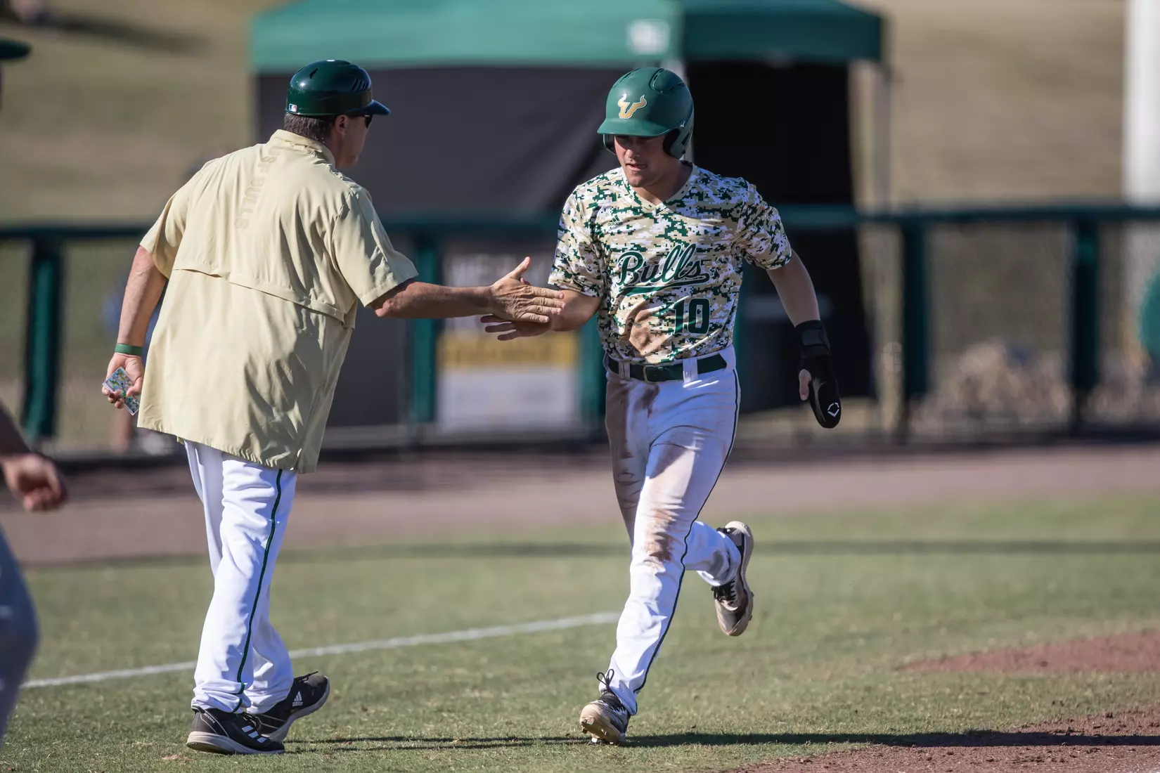 South Florida Bulls during a baseball game against the University of Louisville Cardinals at the USF Baseball Stadium on February 20, 2022. (Mary Holt/South Florida Athletics)