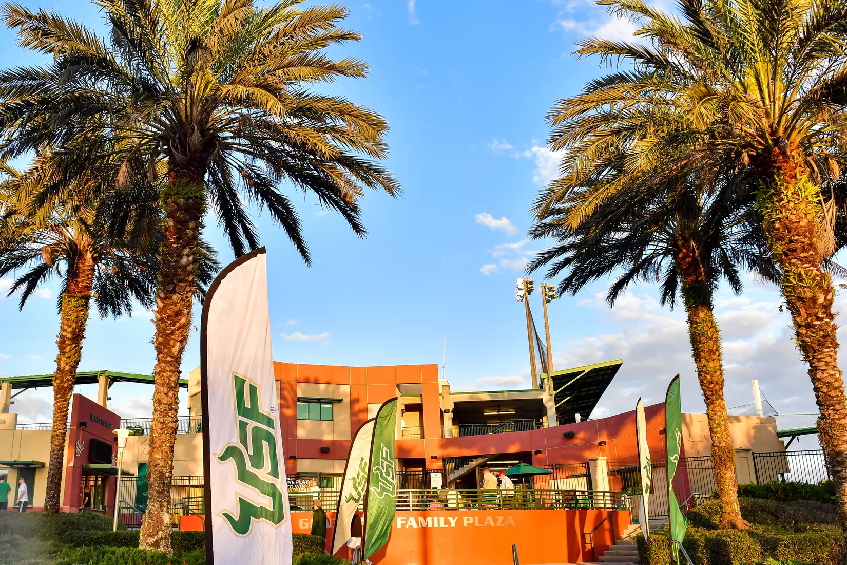 South Florida Bulls druing a Baseball game against Florida International University Panthers at Red McEwen Field on March 1, 2022. (Julio Aguilar/ South Florida Athletics)