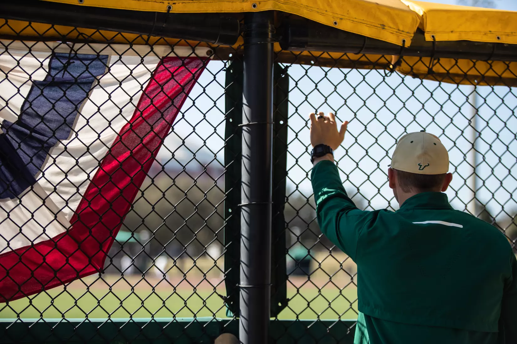 South Florida Bulls during a baseball game against the University of Louisville Cardinals at the USF Baseball Stadium on February 19, 2022. (Mary Holt/South Florida Athletics)