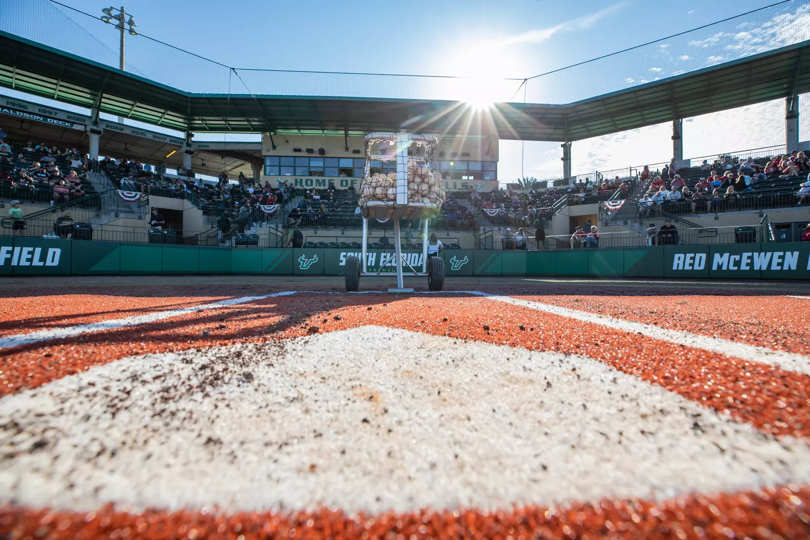 South Florida Bulls during a baseball game against the University of Louisville Cardinals at the USF Baseball Stadium on February 19, 2022. (Mary Holt/South Florida Athletics)