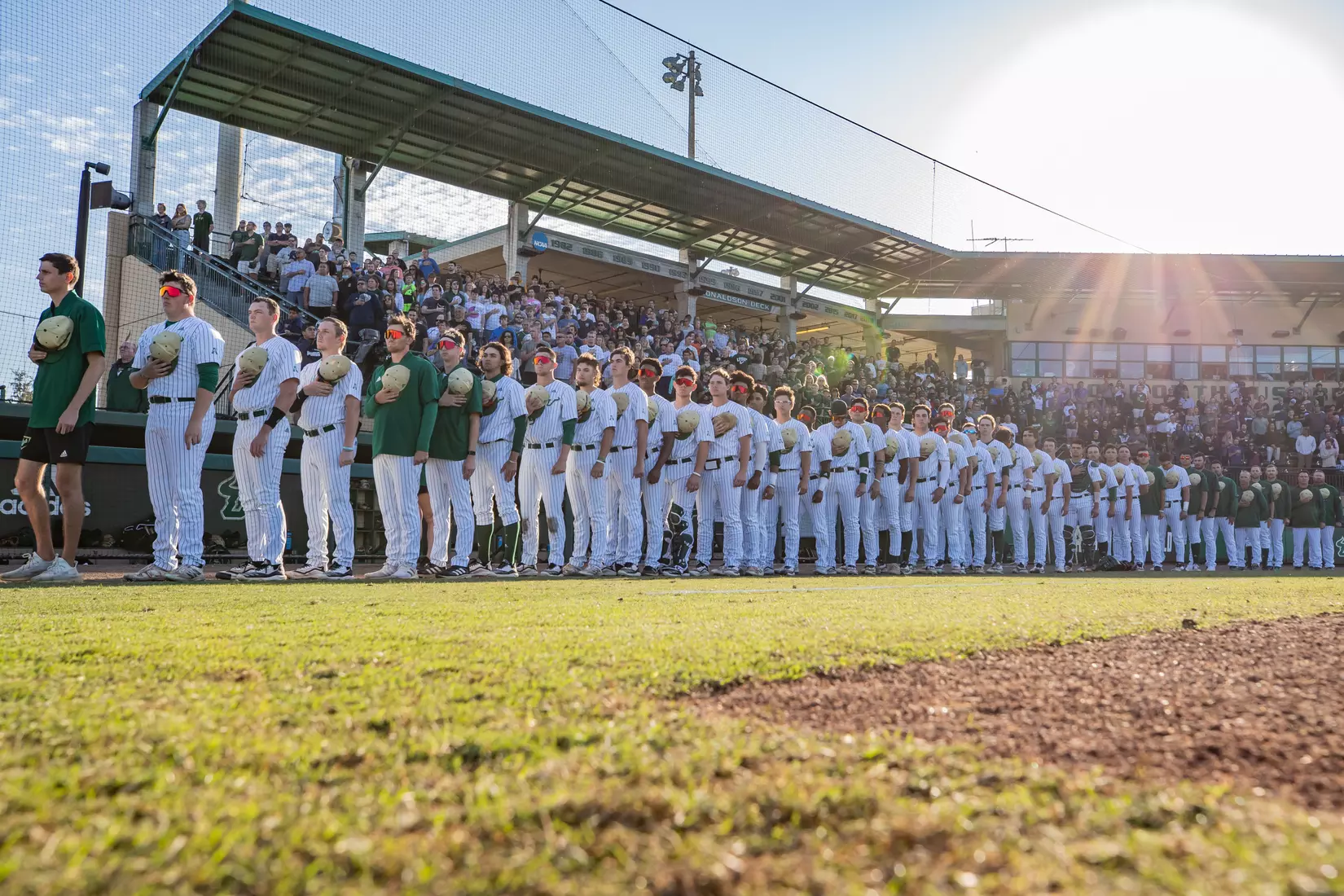 South Florida Bulls during a baseball game against the University of Louisville Cardinals at the USF Baseball Stadium on February 19, 2022. (Mary Holt/South Florida Athletics)
