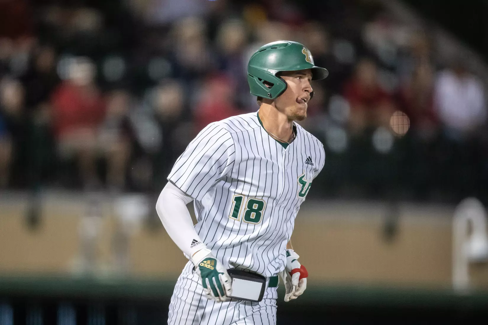 South Florida Bulls during a baseball game against the University of Louisville Cardinals at the USF Baseball Stadium on February 19, 2022. (Mary Holt/South Florida Athletics)