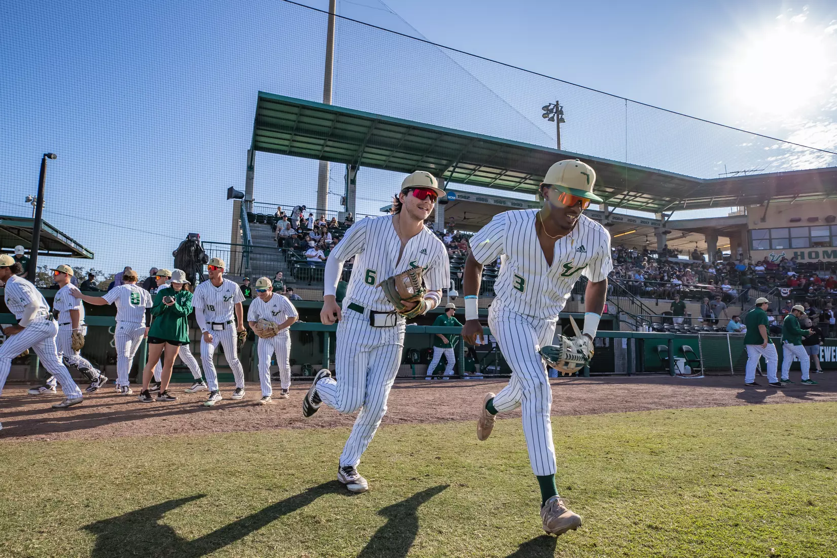 South Florida Bulls during a baseball game against the University of Louisville Cardinals at the USF Baseball Stadium on February 19, 2022. (Mary Holt/South Florida Athletics)