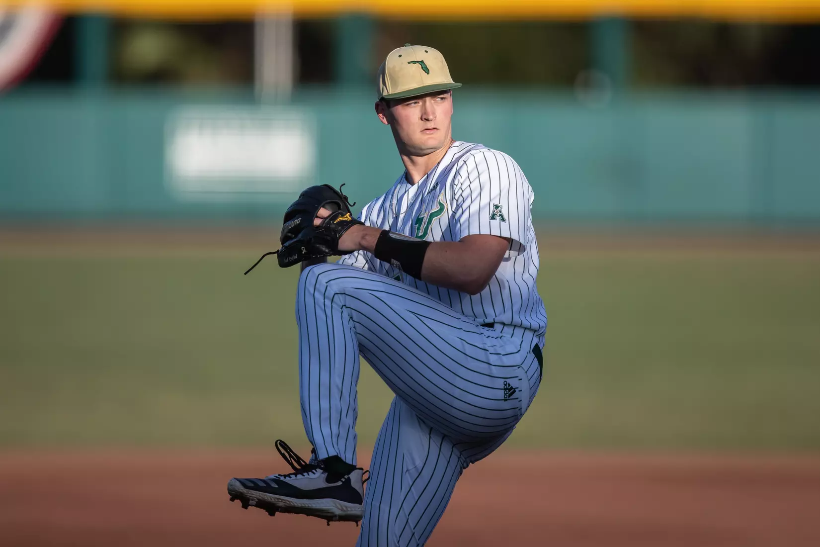 South Florida Bulls during a baseball game against the University of Louisville Cardinals at the USF Baseball Stadium on February 19, 2022. (Mary Holt/South Florida Athletics)