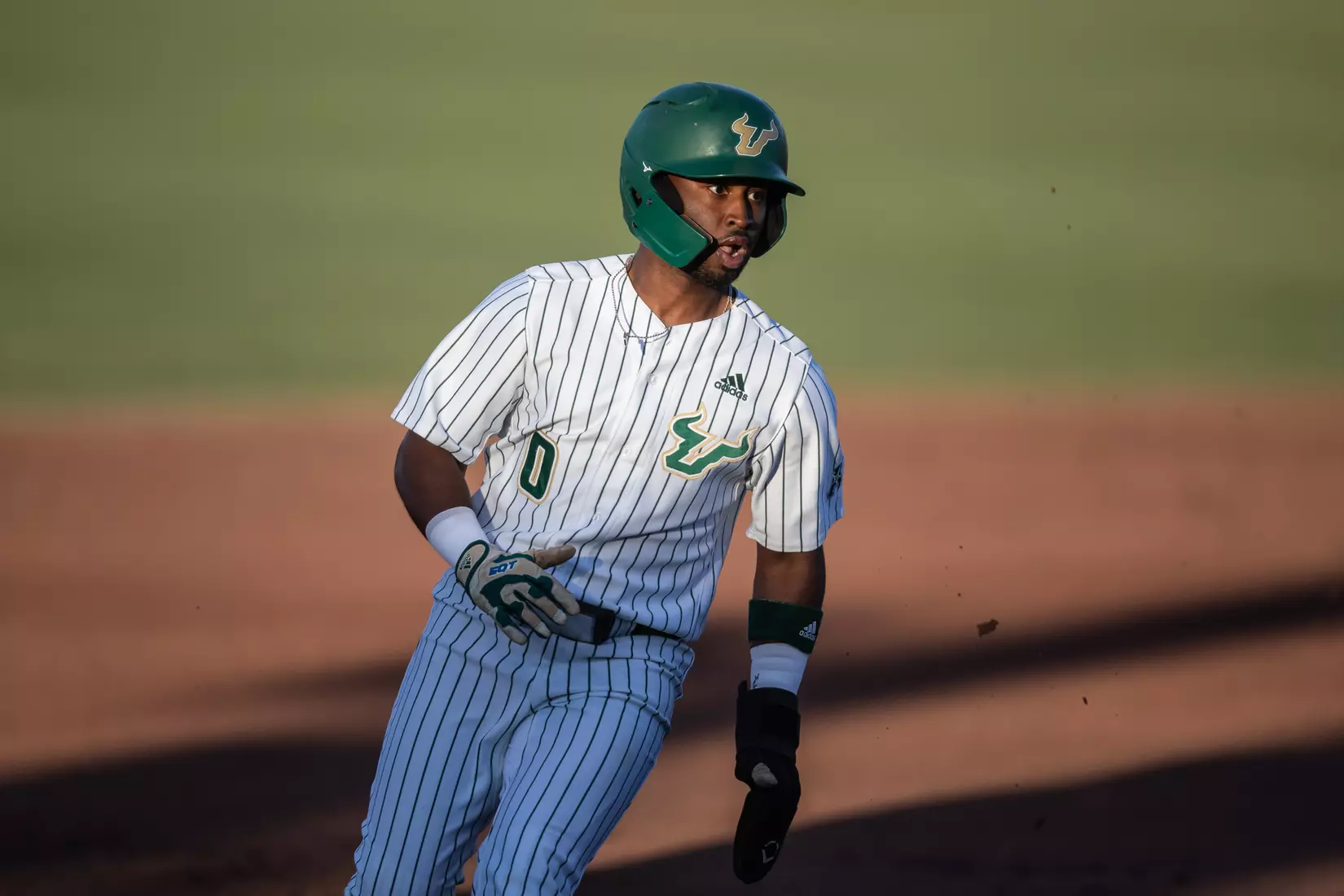 South Florida Bulls during a baseball game against the University of Louisville Cardinals at the USF Baseball Stadium on February 19, 2022. (Mary Holt/South Florida Athletics)