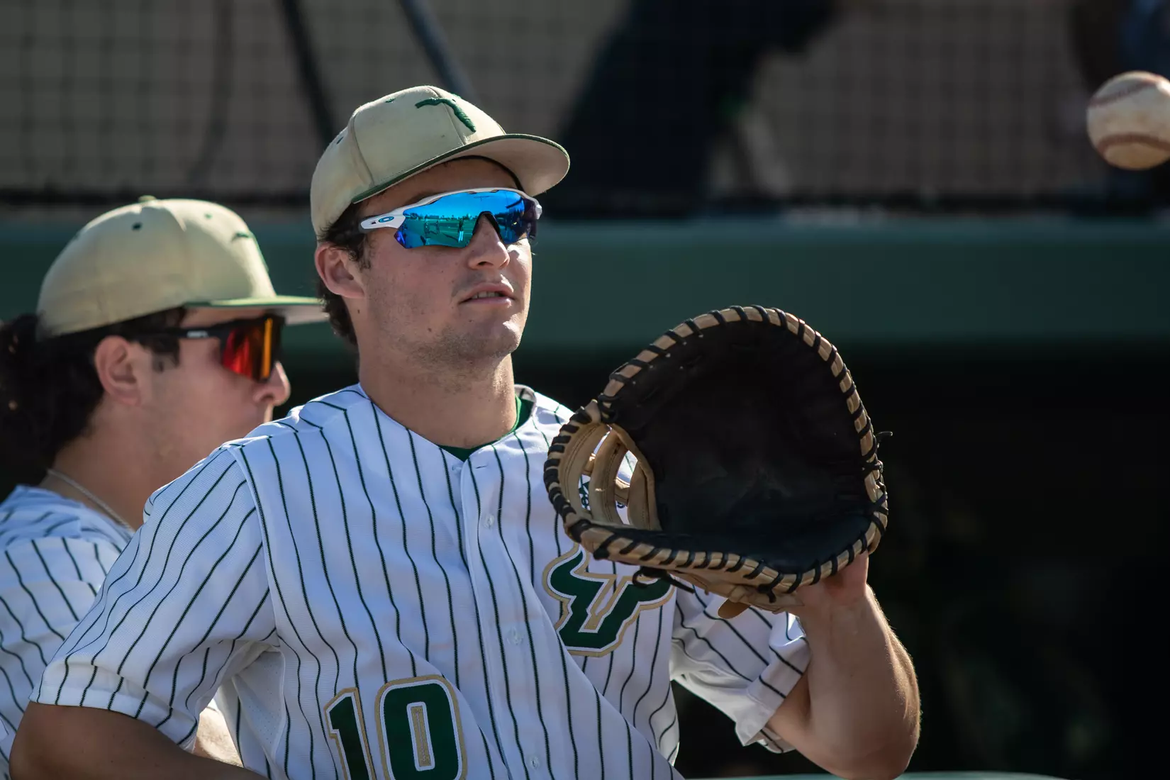 South Florida Bulls during a baseball game against the University of Louisville Cardinals at the USF Baseball Stadium on February 19, 2022. (Mary Holt/South Florida Athletics)