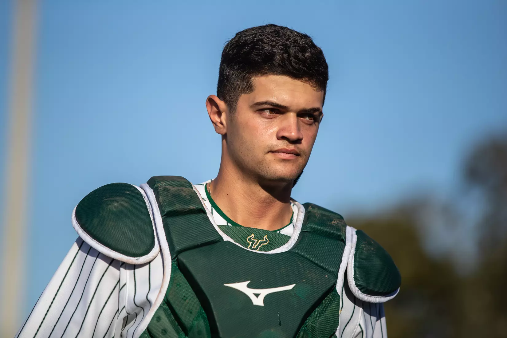 South Florida Bulls during a baseball game against the University of Louisville Cardinals at the USF Baseball Stadium on February 19, 2022. (Mary Holt/South Florida Athletics)