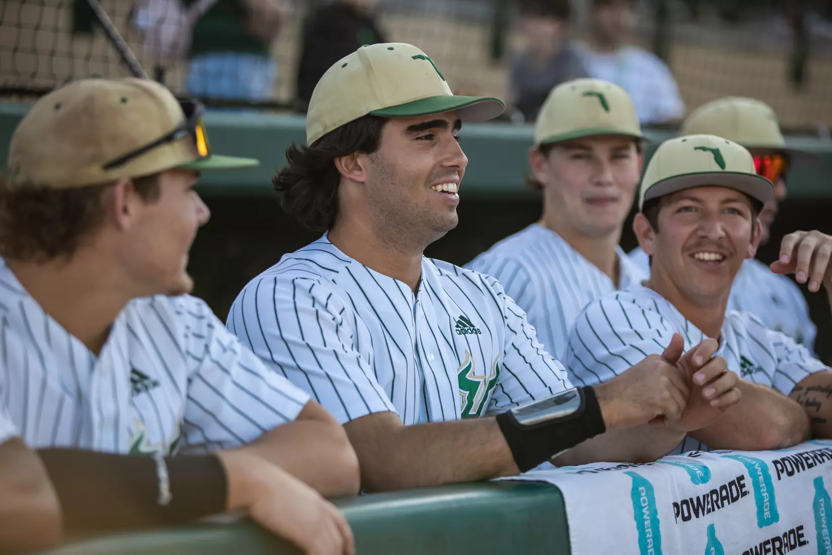 South Florida Bulls during a baseball game against the University of Louisville Cardinals at the USF Baseball Stadium on February 19, 2022. (Mary Holt/South Florida Athletics)