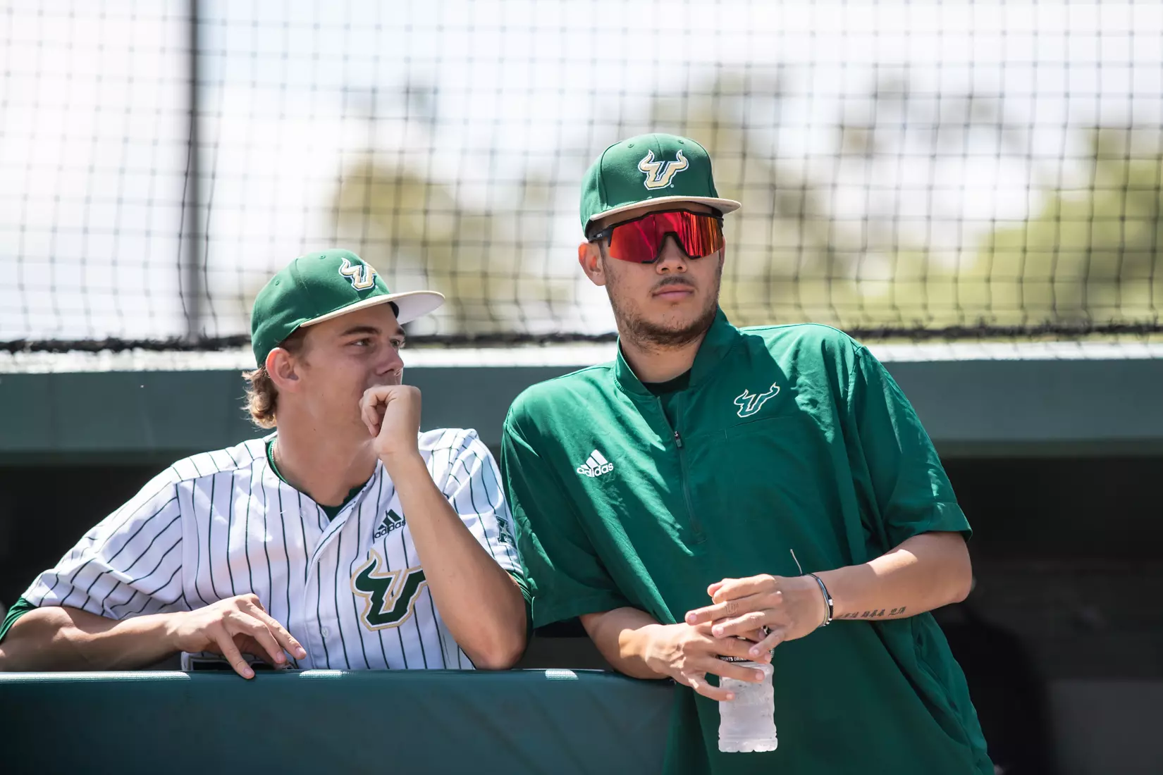South Florida Bulls during a baseball game against the Memphis University Tigers at the USF Baseball Stadium on April 15, 2022. (Mary Holt/South Florida Athletics)