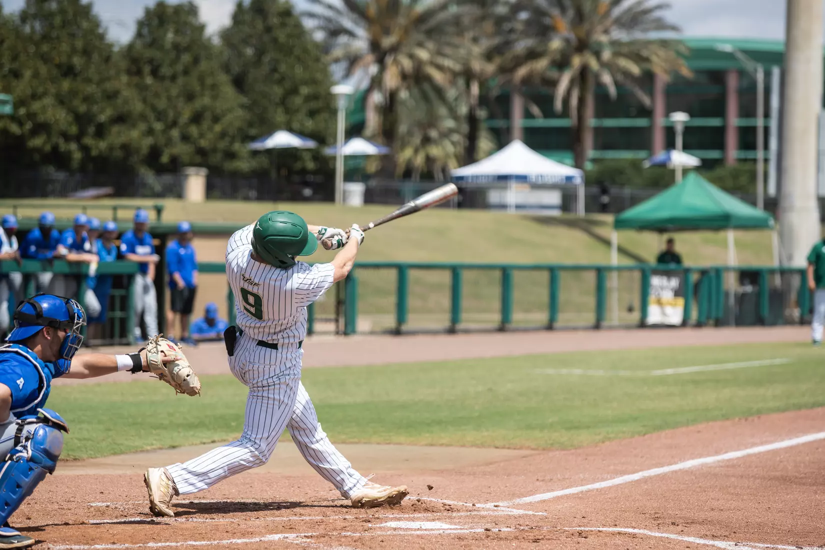 South Florida Bulls during a baseball game against the Memphis University Tigers at the USF Baseball Stadium on April 15, 2022. (Mary Holt/South Florida Athletics)
