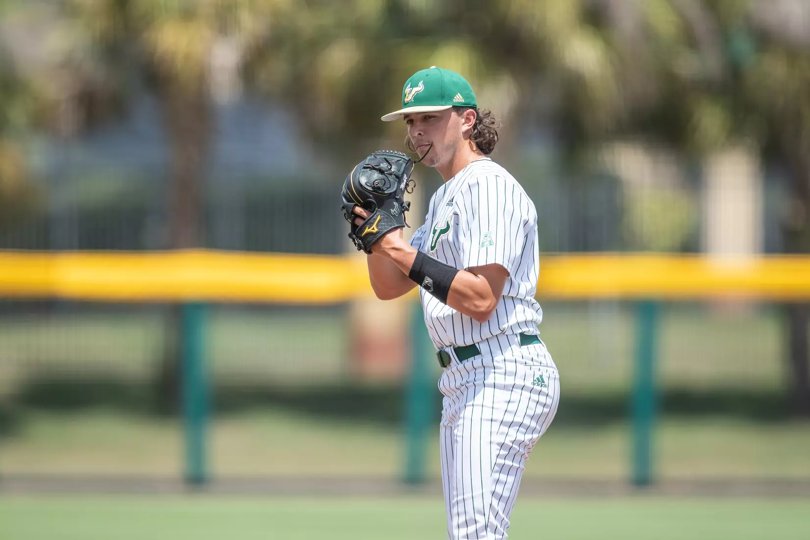 South Florida Bulls during a baseball game against the Memphis University Tigers at the USF Baseball Stadium on April 15, 2022. (Mary Holt/South Florida Athletics)