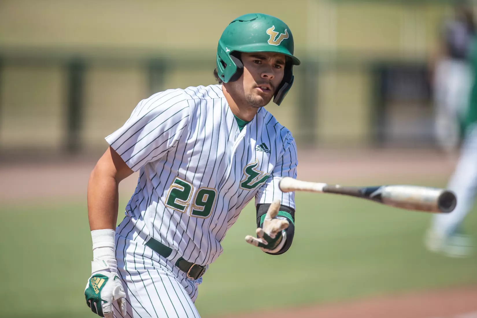 South Florida Bulls during a baseball game against the Niagara University Purple Eagles at the USF Baseball Stadium on March 26, 2022. (Mary Holt/South Florida Athletics)