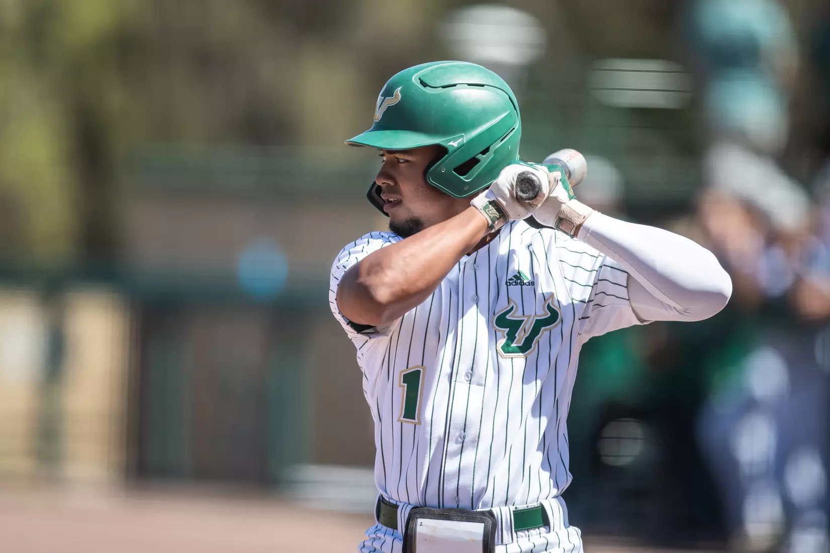 South Florida Bulls during a baseball game against the Niagara University Purple Eagles at the USF Baseball Stadium on March 26, 2022. (Mary Holt/South Florida Athletics)