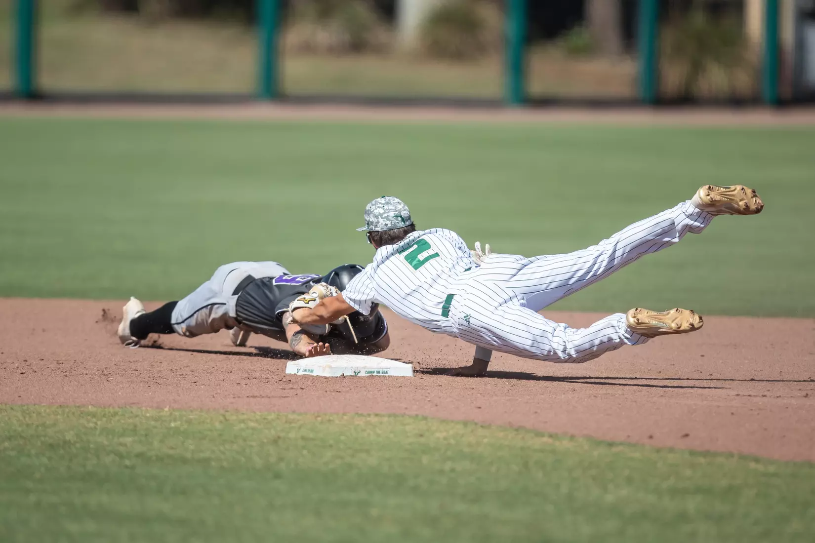 South Florida Bulls during a baseball game against the Niagara University Purple Eagles at the USF Baseball Stadium on March 26, 2022. (Mary Holt/South Florida Athletics)