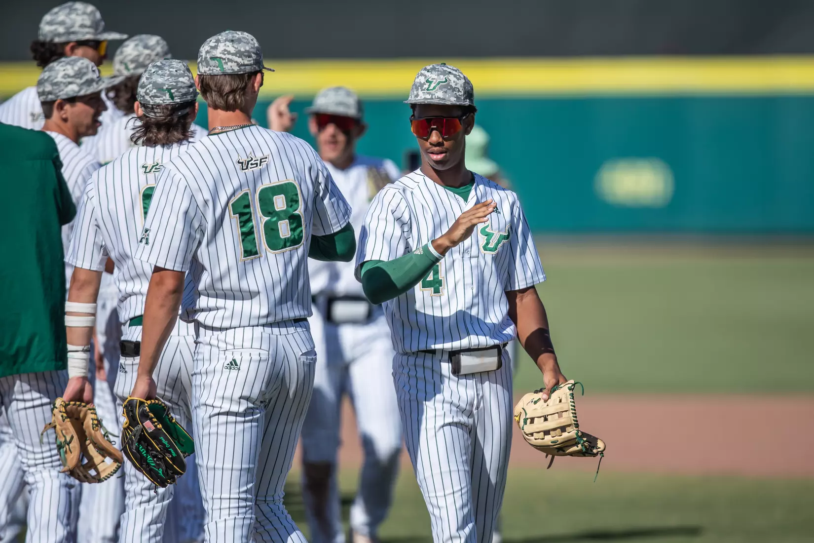South Florida Bulls during a baseball game against the Niagara University Purple Eagles at the USF Baseball Stadium on March 26, 2022. (Mary Holt/South Florida Athletics)