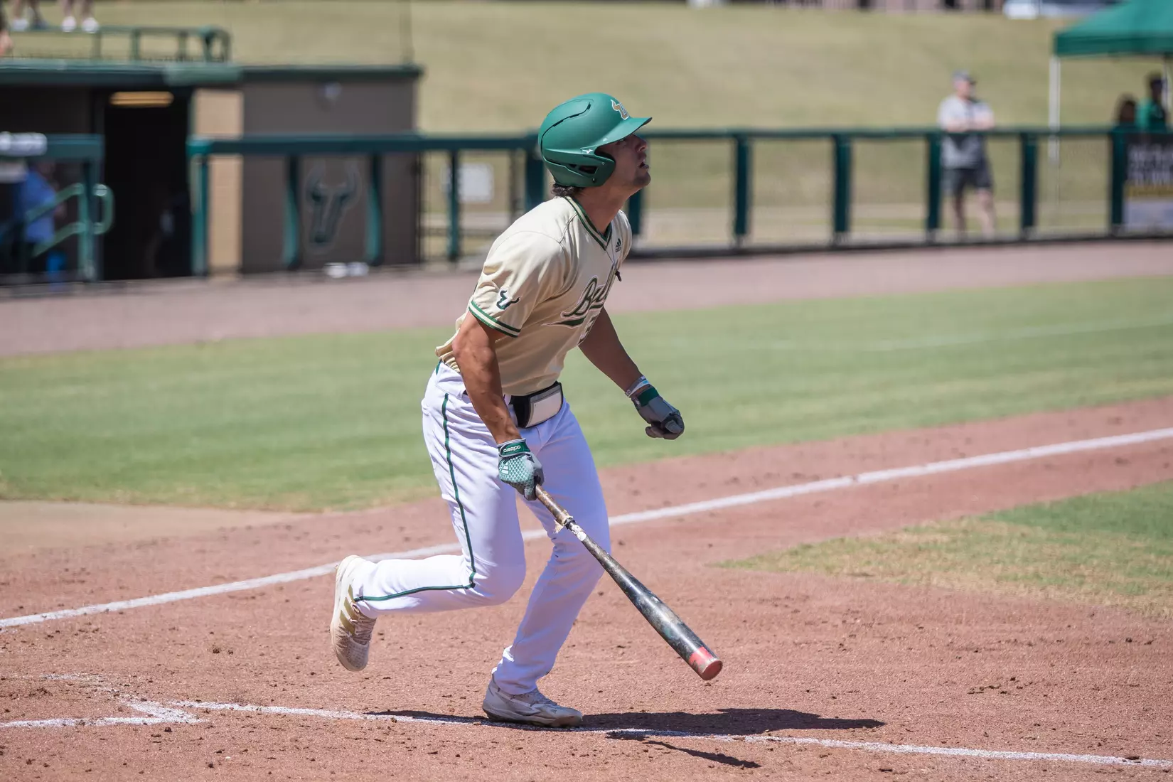 South Florida Bulls during a baseball game against the Niagara University Purple Eagles at the USF Baseball Stadium on March 27, 2022. (Mary Holt/South Florida Athletics)