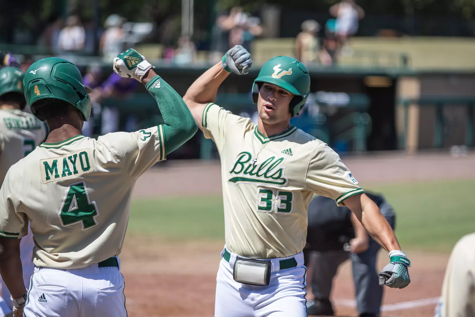 South Florida Bulls during a baseball game against the Niagara University Purple Eagles at the USF Baseball Stadium on March 27, 2022. (Mary Holt/South Florida Athletics)