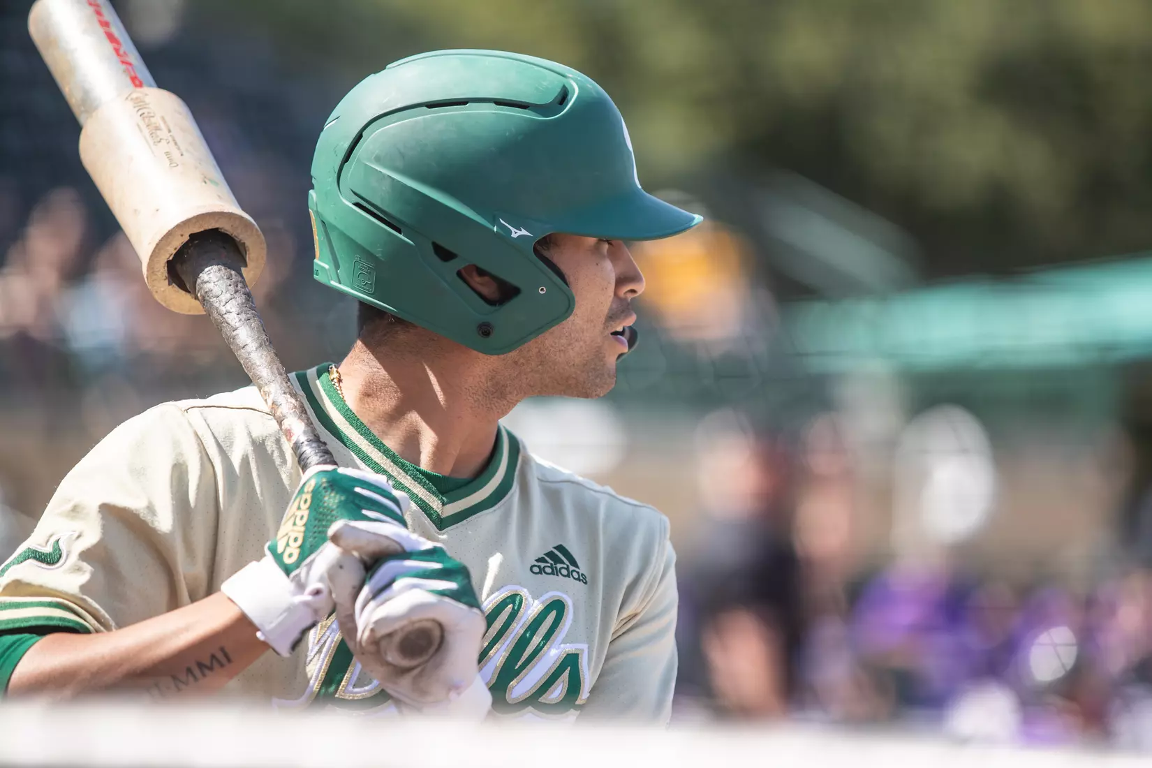 South Florida Bulls during a baseball game against the Niagara University Purple Eagles at the USF Baseball Stadium on March 27, 2022. (Mary Holt/South Florida Athletics)